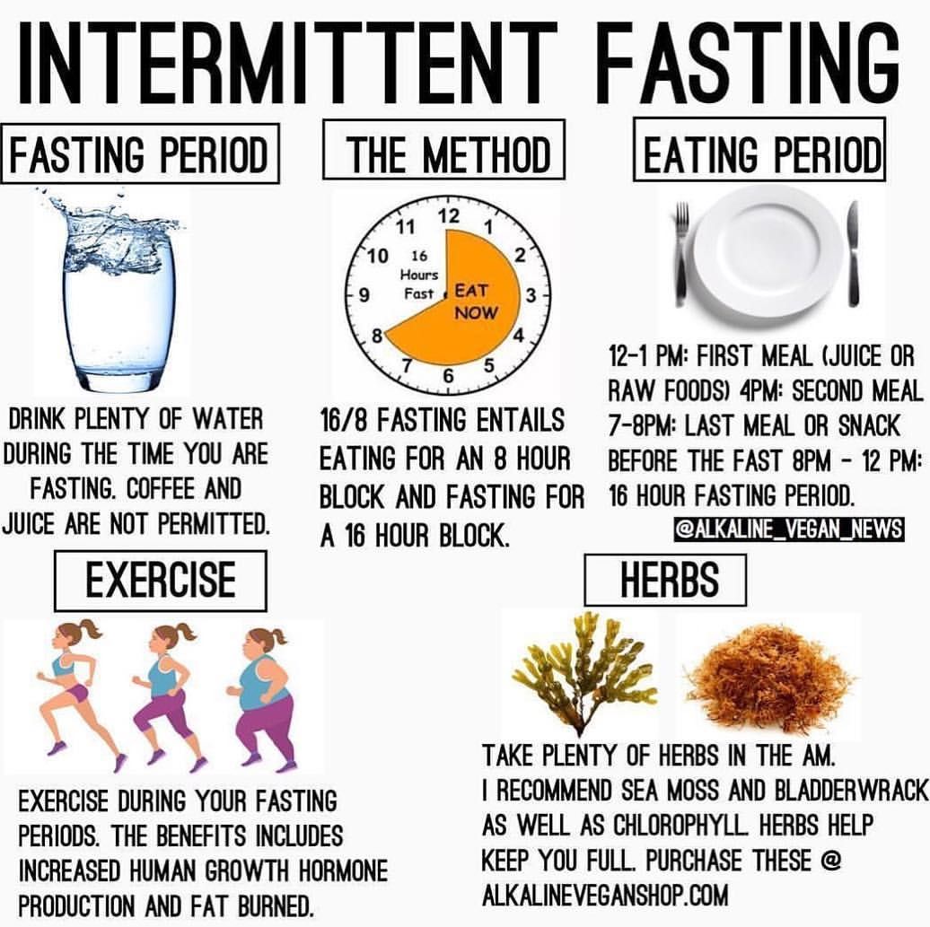16 Hour Intermittent Fasting Diet