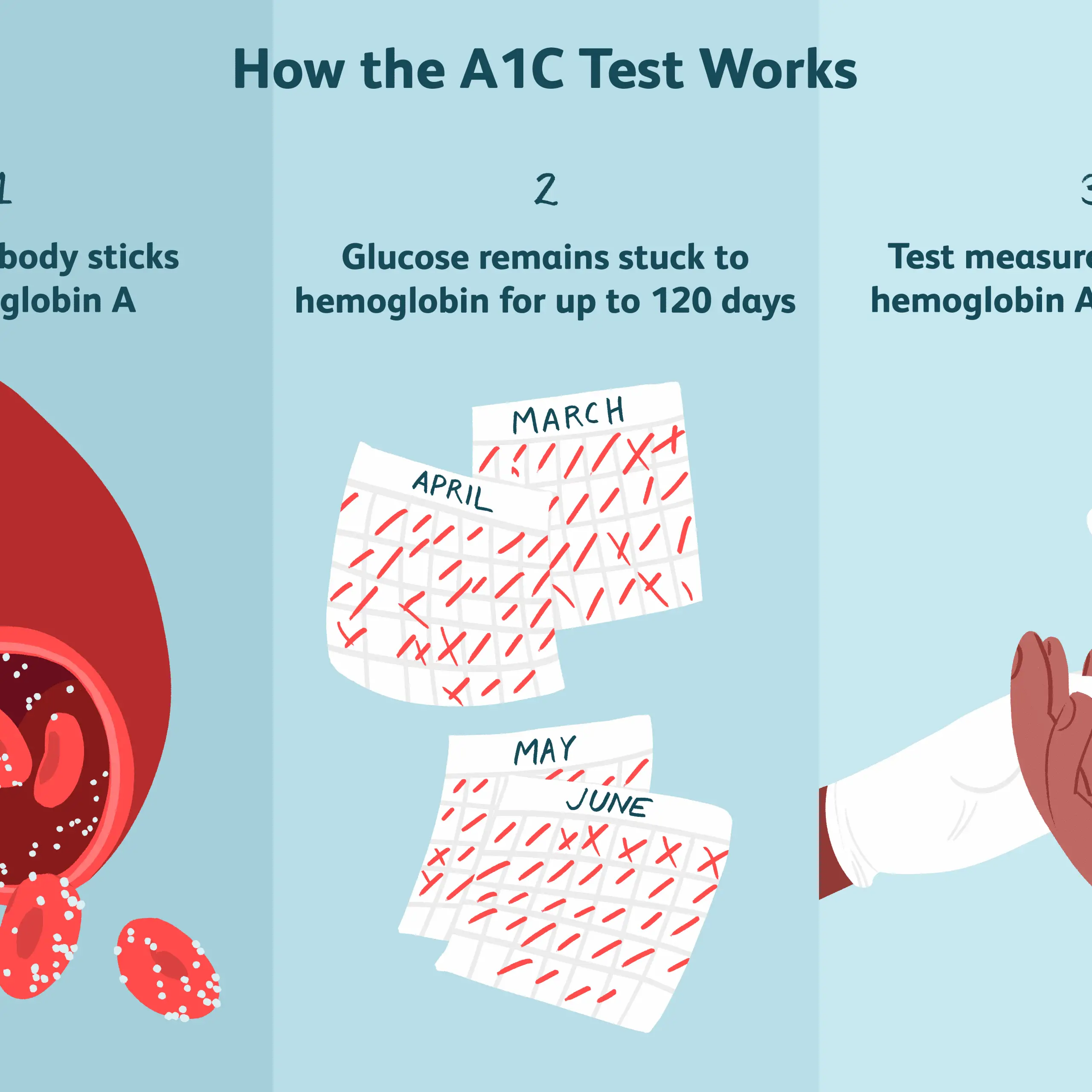A1C Chart / What Do Your Fasting Blood Glucose And Hemoglobin A1c ...