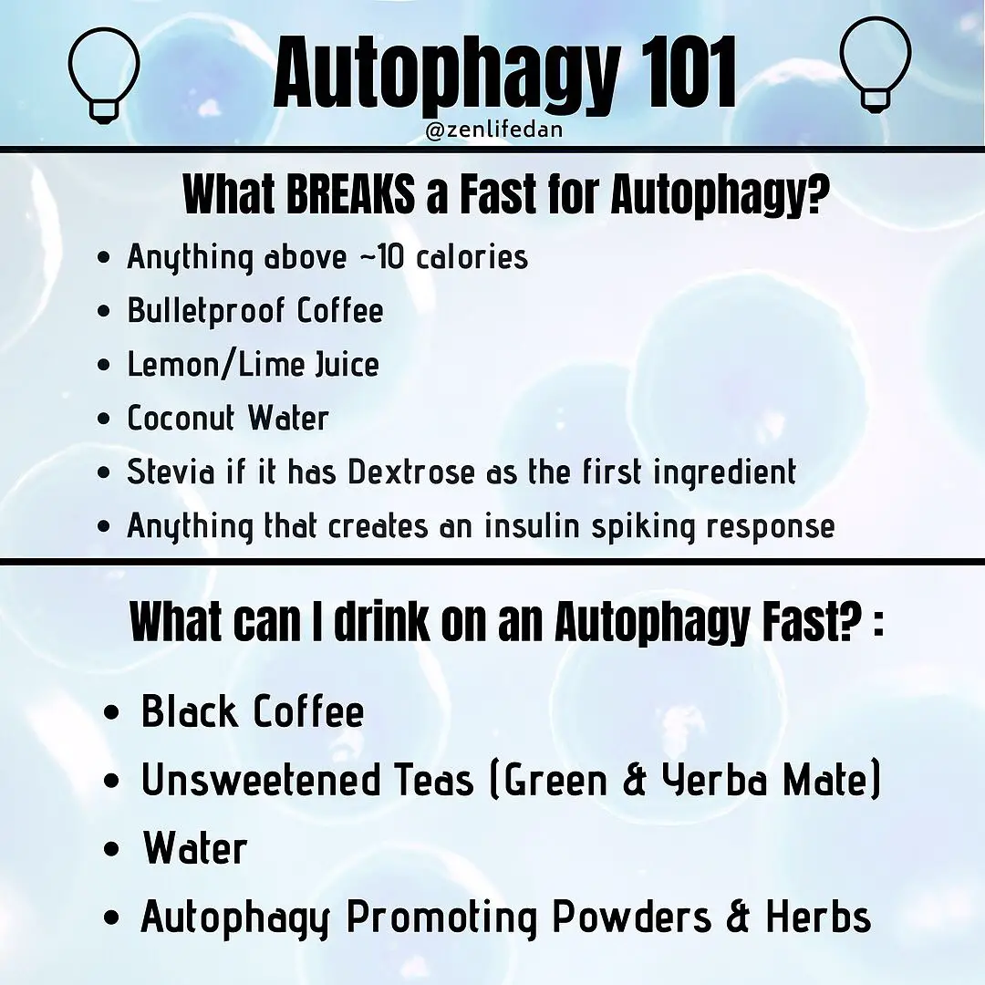 Autophagy  How Fasting Eats the Bodys Own Damaged Cells &  Shrinks Fat ...