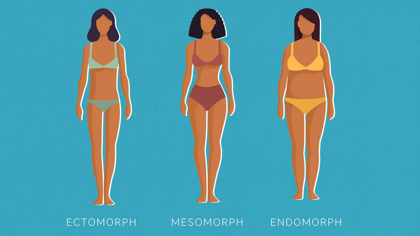 Body Type Quiz: Are You an Endomorph, Ectomorph, or Mesomorph ...