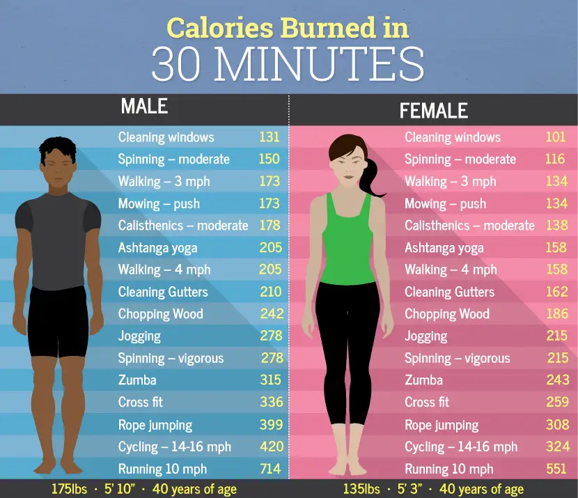 Calories Burned In 30 Minutes