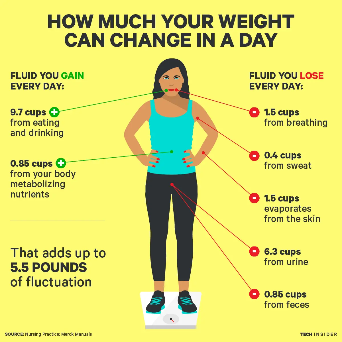 Did You Know You Lose Weight Every Day? Here Is The Good News!