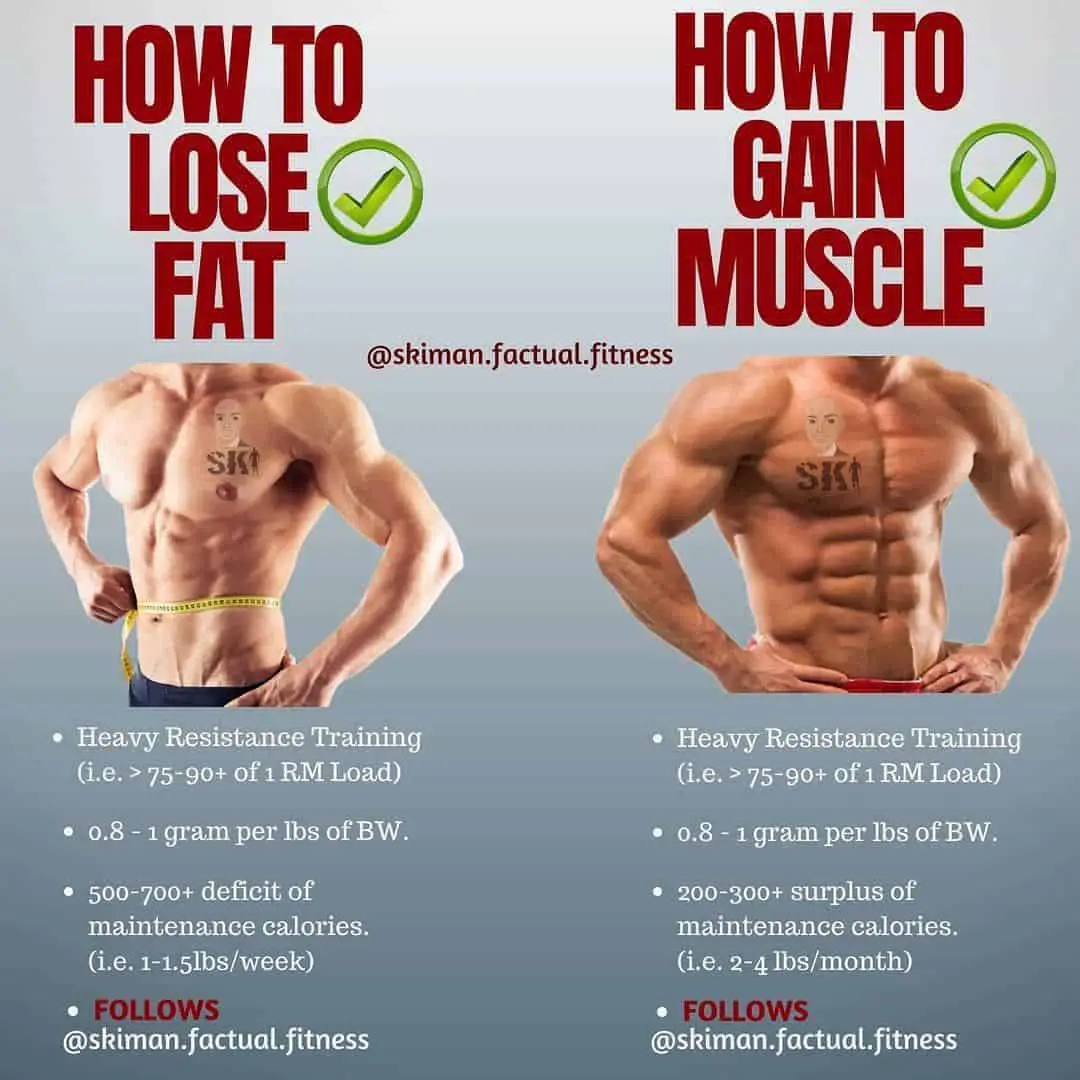 Does Fasting Reduce Fat Or Muscle