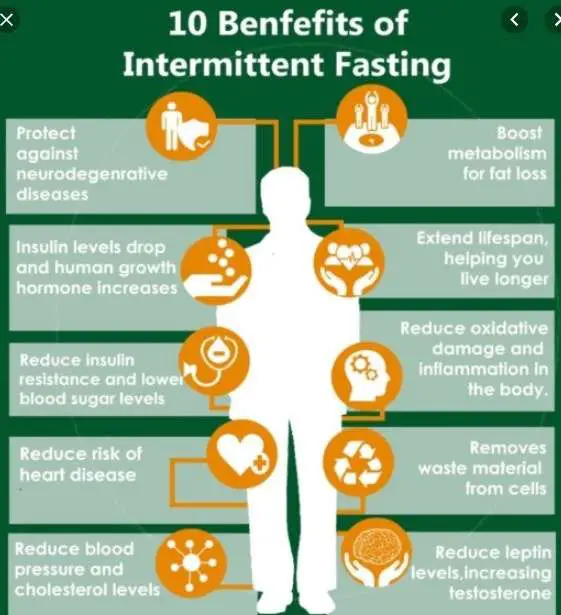 Does intermittent fasting decrease your metabolism?