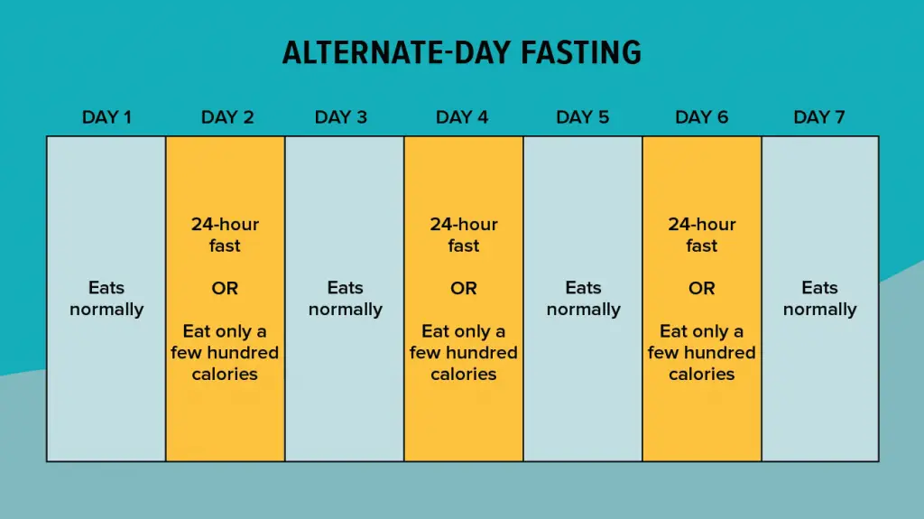 Does Intermittent Fasting Work? A Complete Guide To Fasting