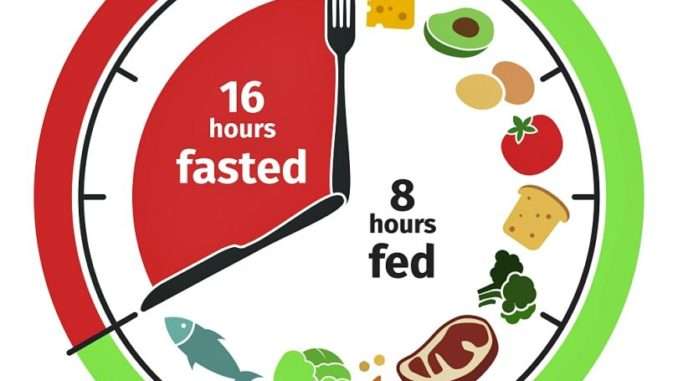 How can Intermittent Fasting Help You Lose Weight ...