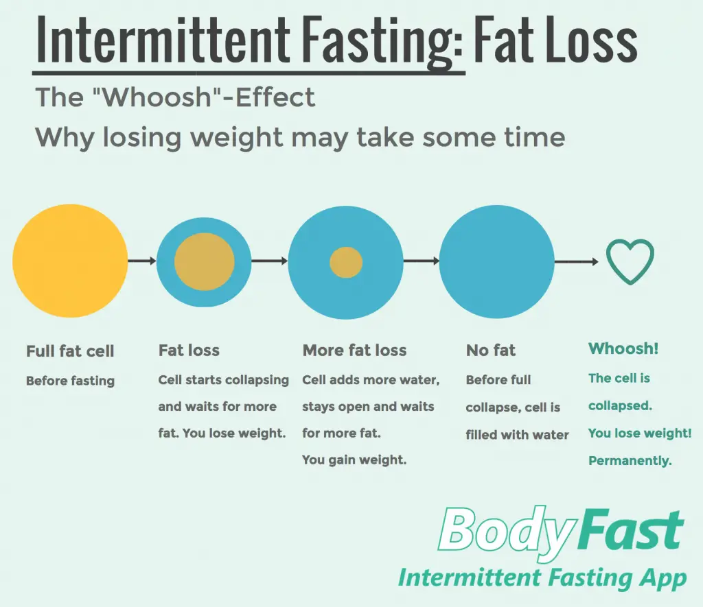 How Fast Can I Lose Weight On Intermittent Fasting ...