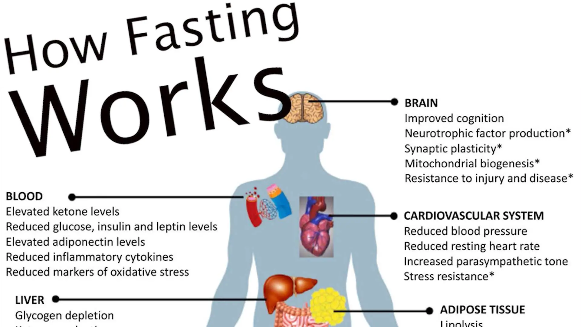 How Intermittent Fasting Works and Tips for Success