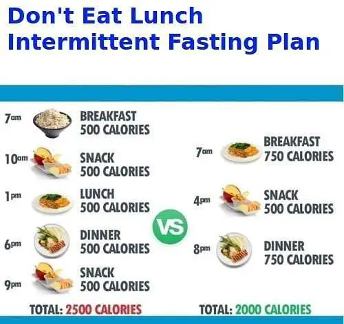 How Many Calories Should I Eat In A Day While Intermittent ...