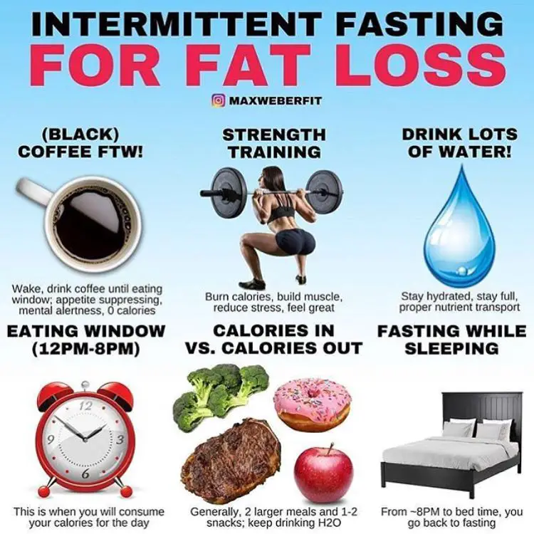 How Many Calories Should I Eat To Lose Weight While Intermittent ...