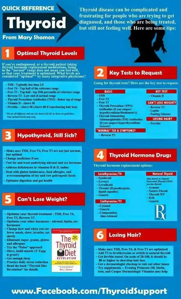 How Much Fasting Is Required For Thyroid Test
