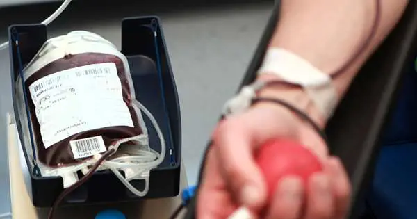 How To Donate Blood In Malaysia? Here