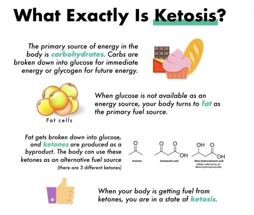 I Always Heard About Ketosis. What Is Ketosis?