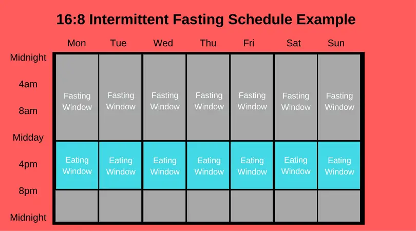 Intermittent Fasting And Testosterone: How and Why Fasting Works!