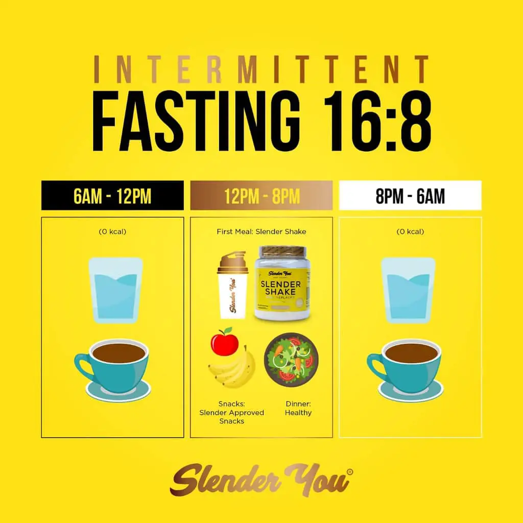 Intermittent Fasting Diet Plan 16/8 ~ burkedesignfirm