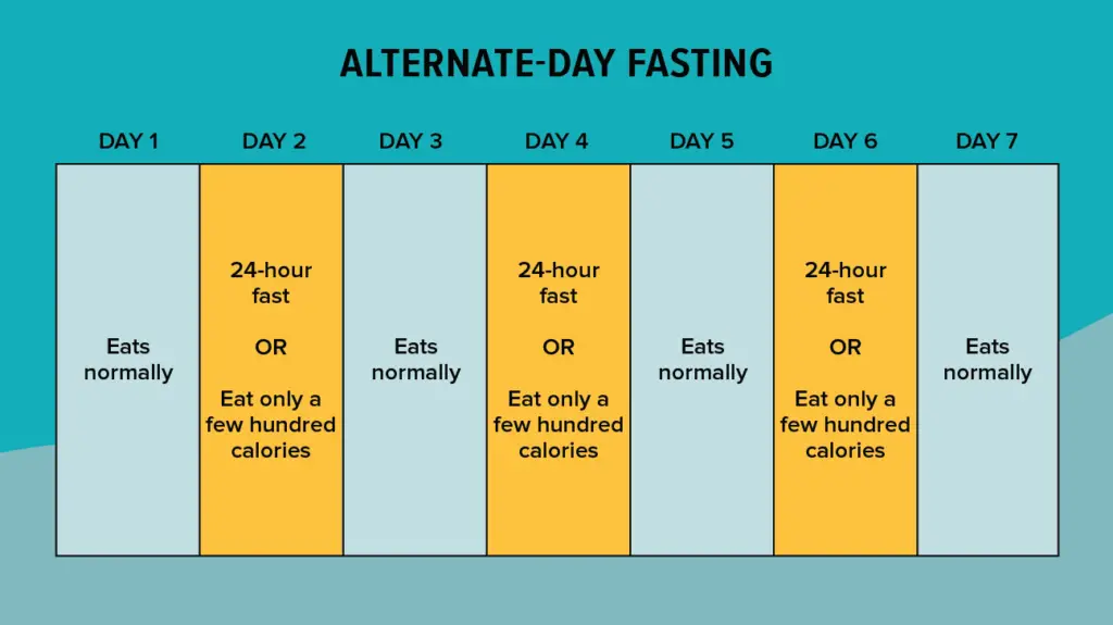 Intermittent fasting (IF) and the 4 types of IF
