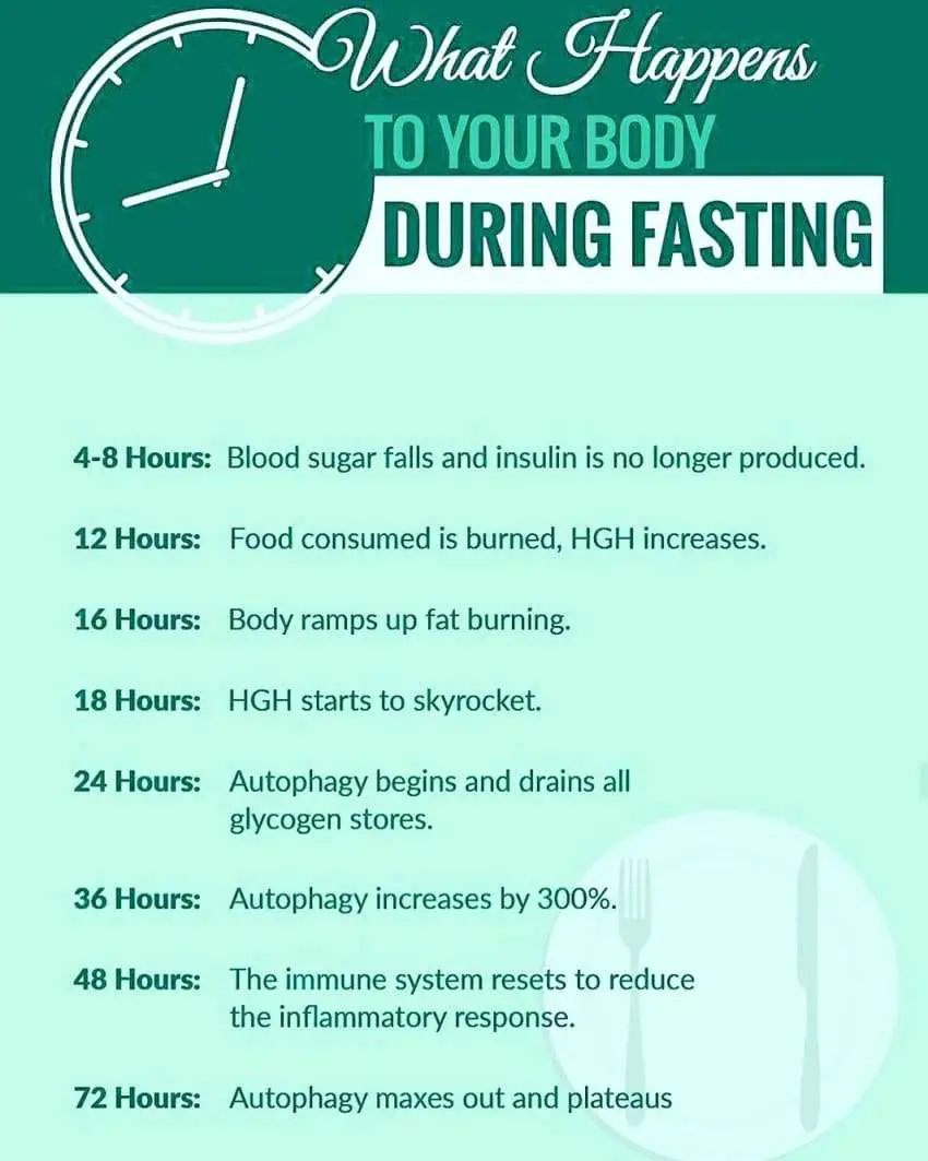 Intermittent Fasting: The Complete Guide You Need