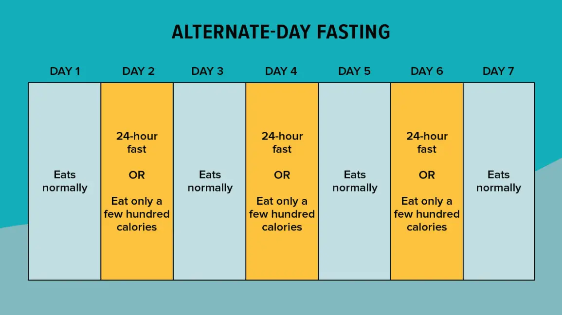 Intermittent Fasting: What it is and how to do it ...