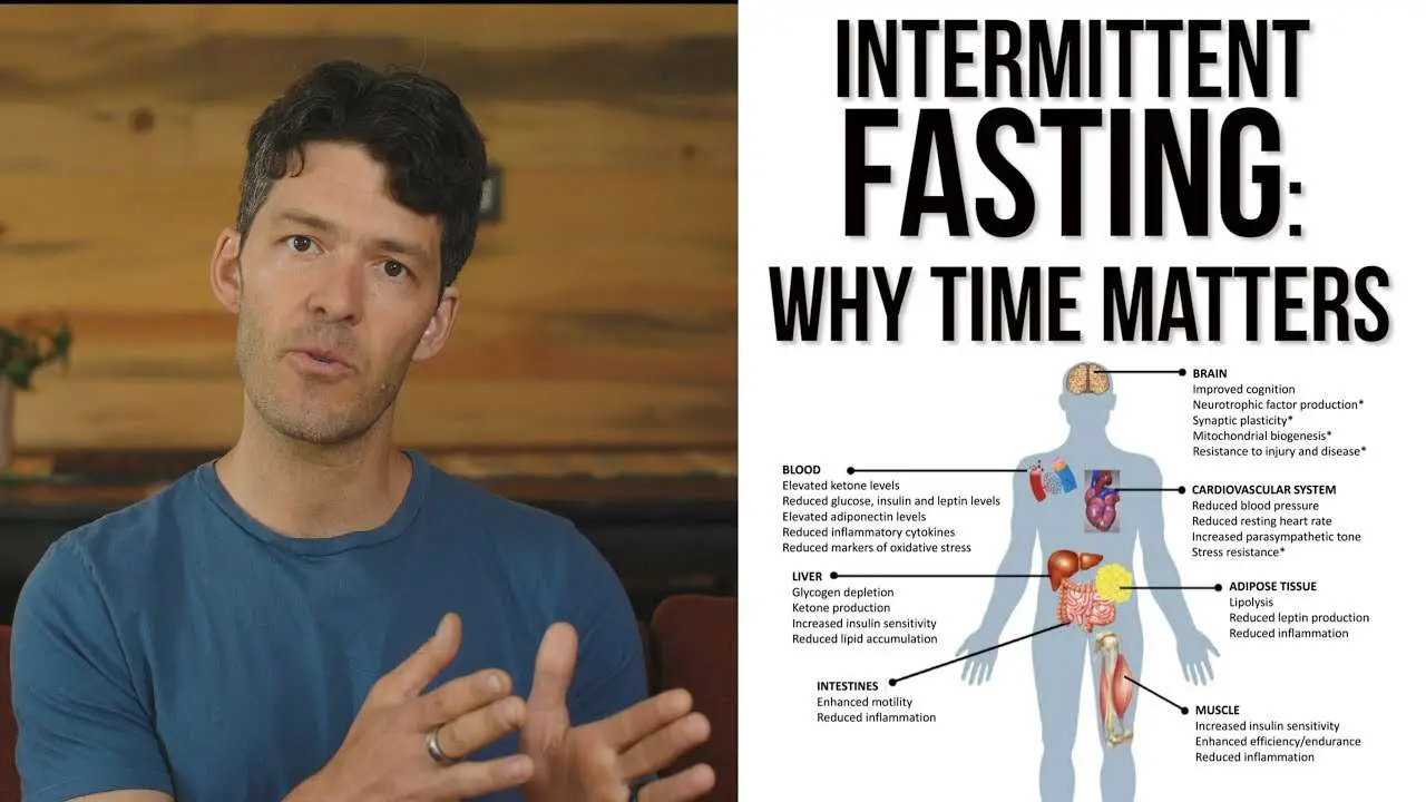 Intermittent Fasting: Why Eating Every 2 Hours is Bad: Thomas DeLauer ...