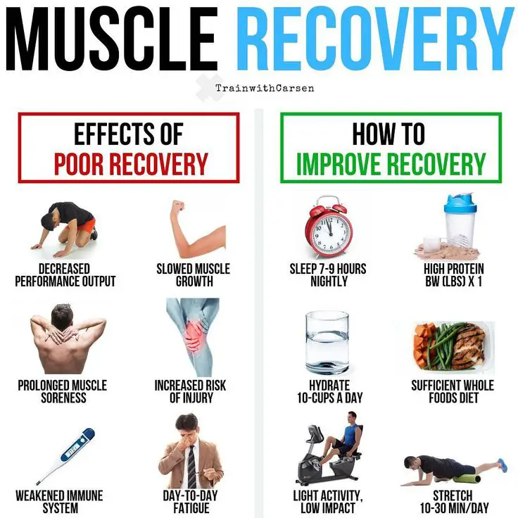 Muscle Recovery â?£Hitting the weights is half the battle, the other half ...