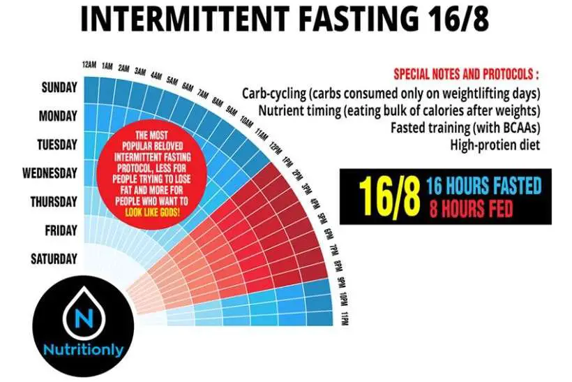 My first month into the realm of 16:8 Intermittent fasting ...