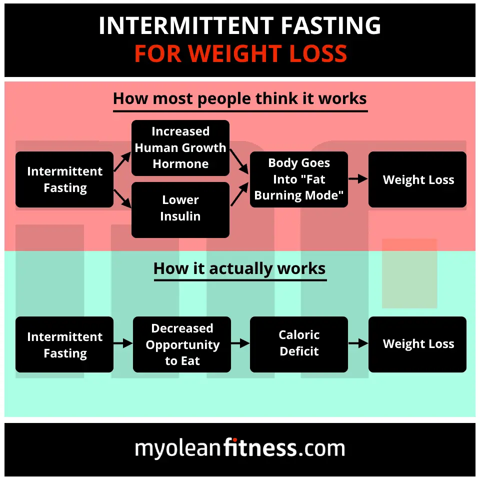 STRENGTH FIGHTERâ¢: The Reality of Intermittent Fasting