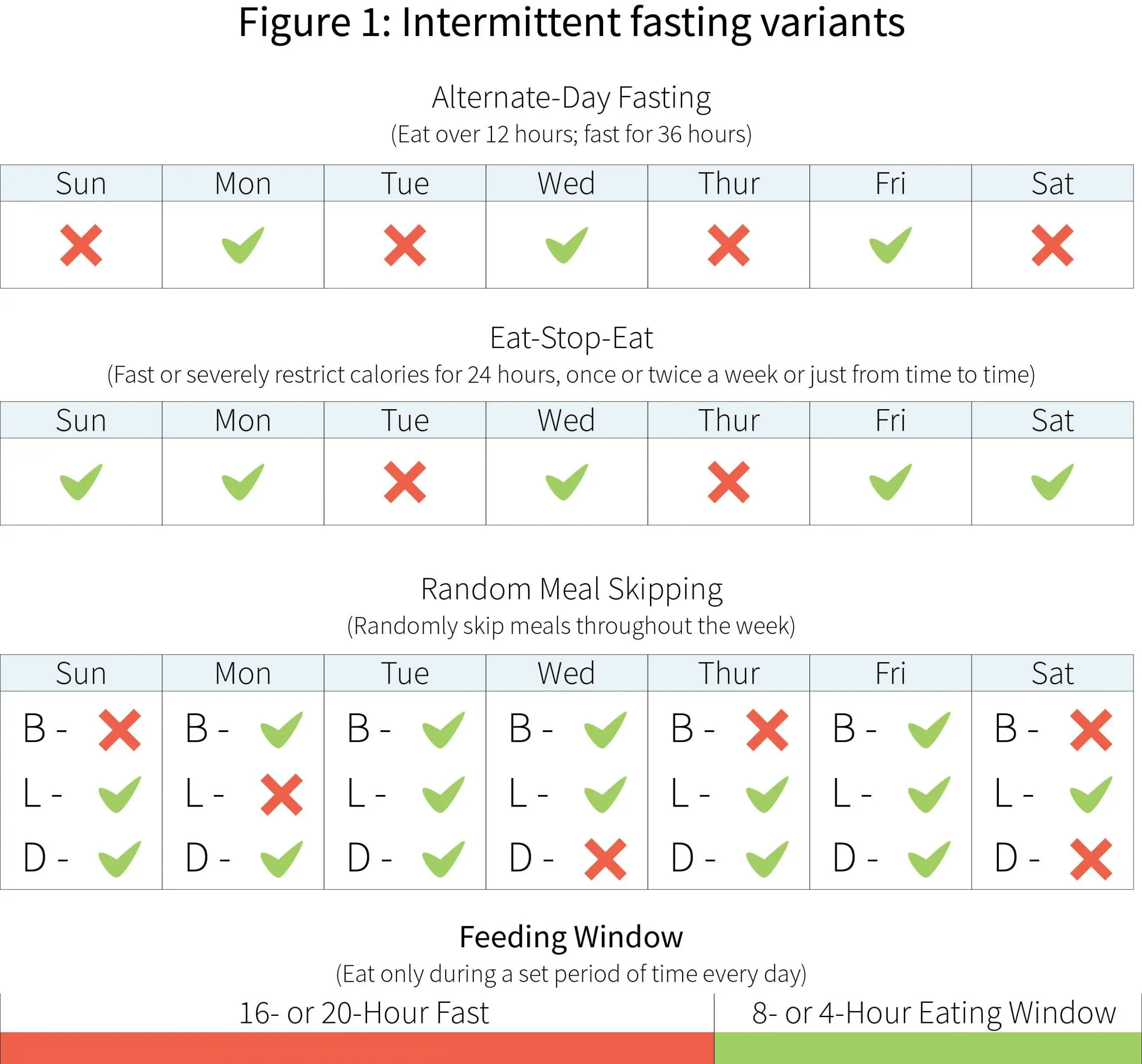 The low down on Intermittent Fasting