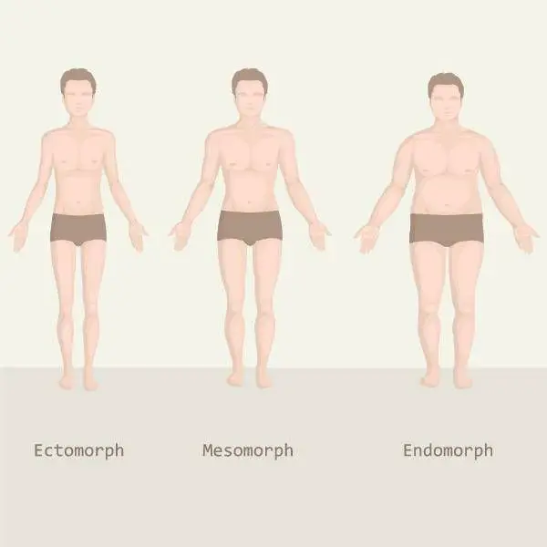 The Story of the Endomorph: How to Work With What You Have