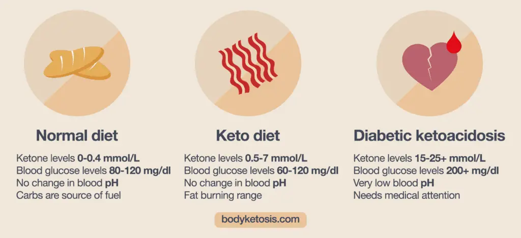 The Ultimate Guide On How To Get Into Ketosis Fast? (Under ...