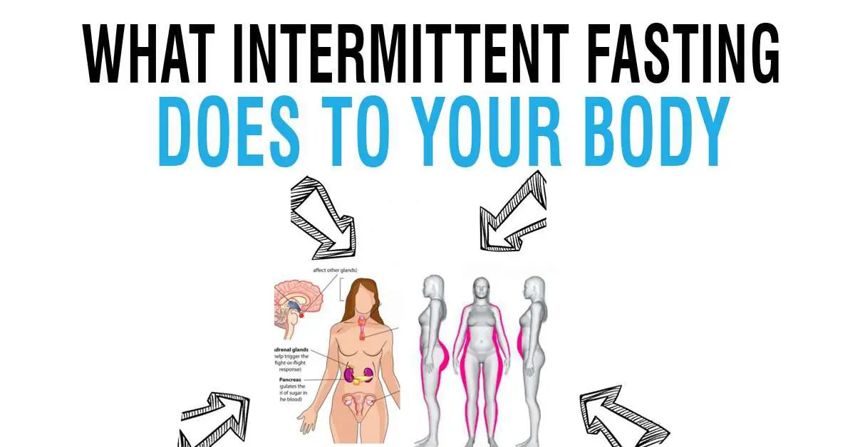 What Intermittent Fasting Does To Your Body